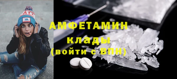 шишки Алзамай