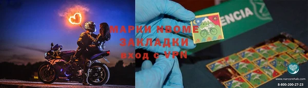 шишки Алзамай