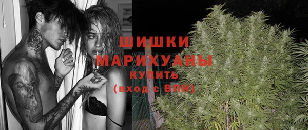 шишки Алзамай