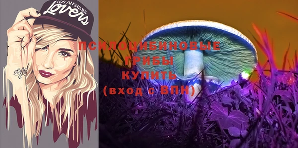 шишки Алзамай
