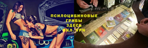 дурь Алексеевка