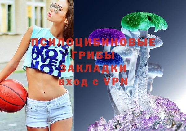 шишки Алзамай